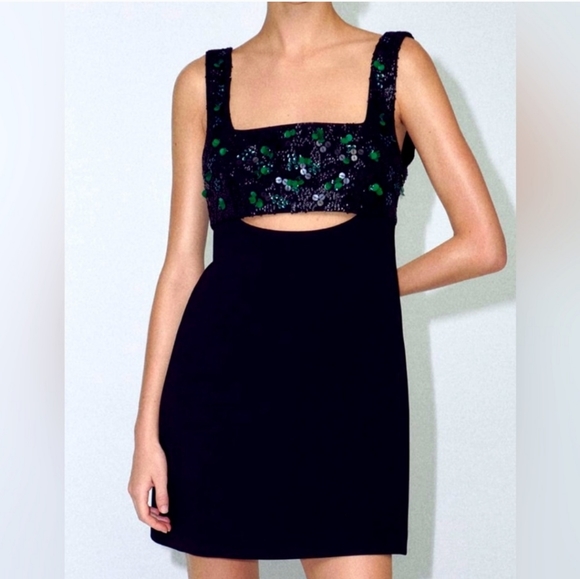 Zara Dresses & Skirts - Zara Embroidered Yoke Dress, Limited Edition